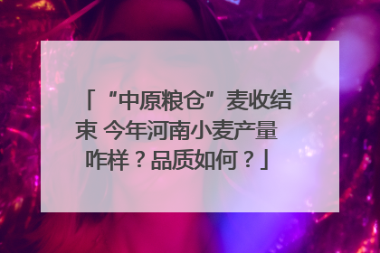 “中原粮仓”麦收结束 今年河南小麦产量咋样？品质如何？